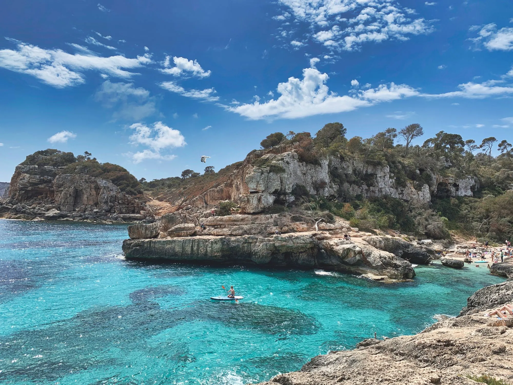 Turquoise cove on the rocky coast of Mallorca (illustrative photo of the destination, not the resort)